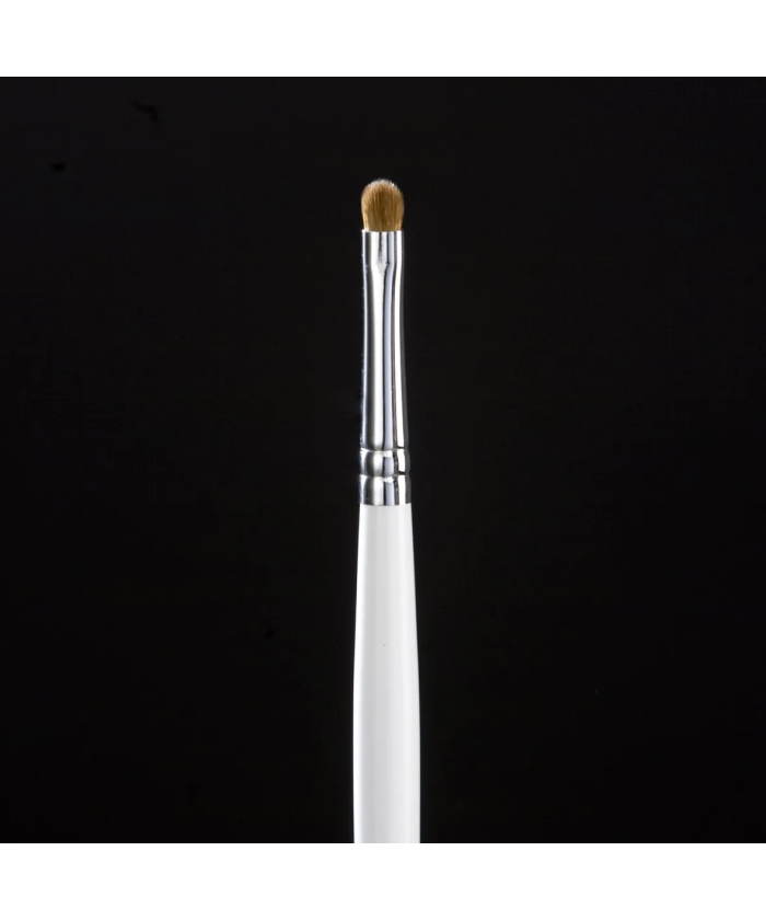 1021 – Pinceles para labios