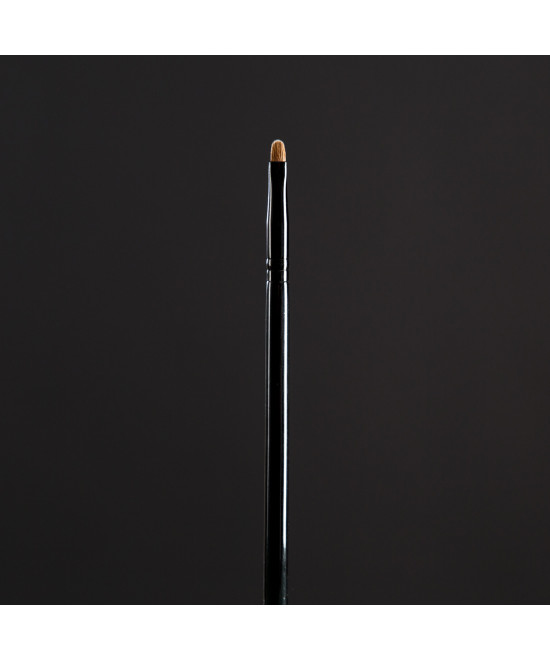 225 - Pinceles para labios