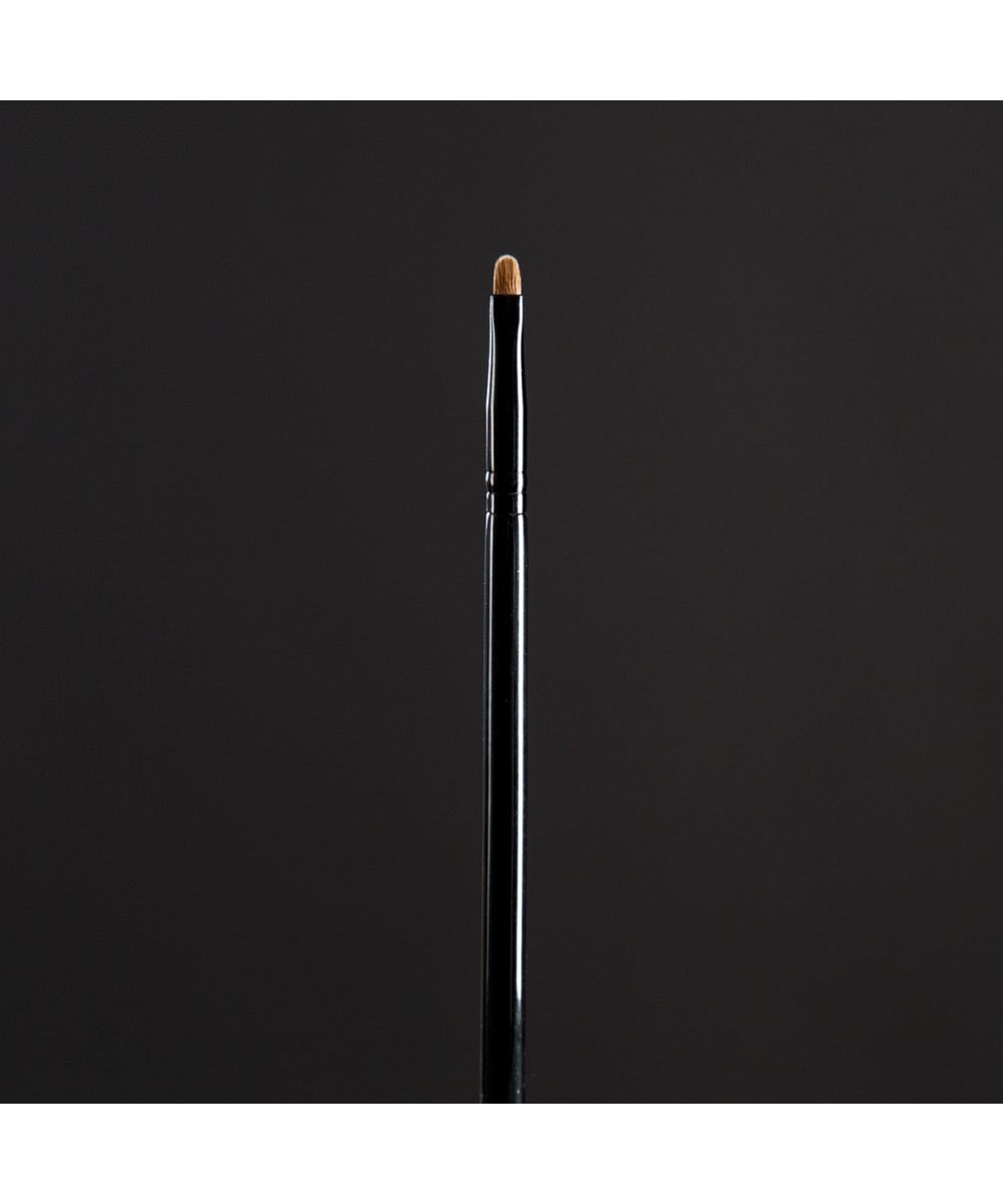 225 - Pinceles para labios