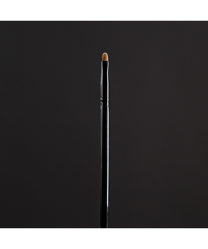 225 - Pinceles para labios